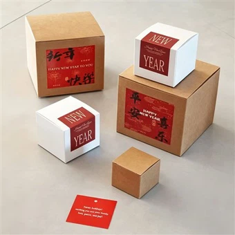 Hộp màu cứng nhắc